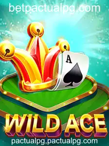Explorando o Mundo de WildAce: Regras e Estratégias para Dominar o Jogo